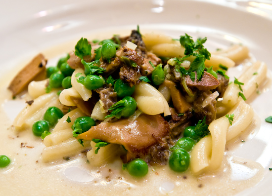 Chez Panisse - House-made pasta with morels and green garlic