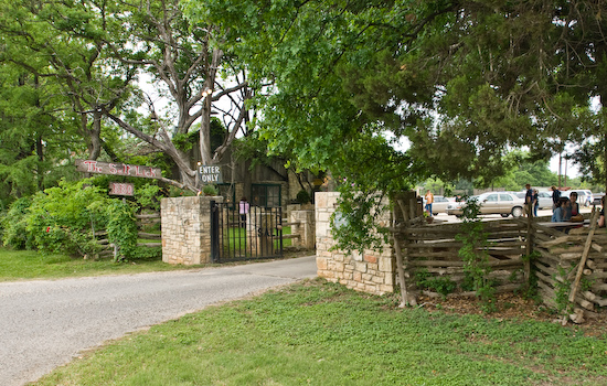 The Salt Lick