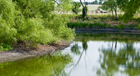 Coyote Creek Farm