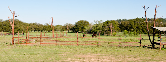 Montesino Farm