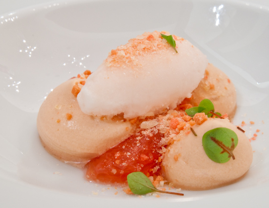 Congress - Grapefruit sorbet, grapefruit segments, and campari pop rocks