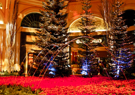 Christmas at the Bellagio