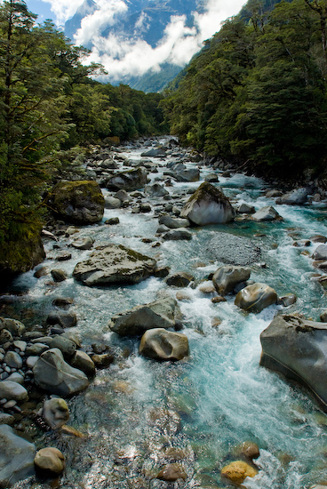 Fiordland, South Island, New Zealand