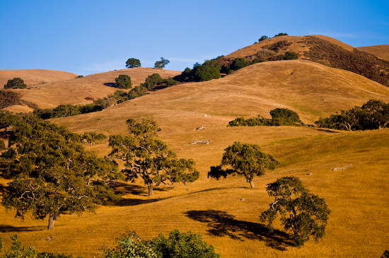 Golden Hills (Hollister, California)