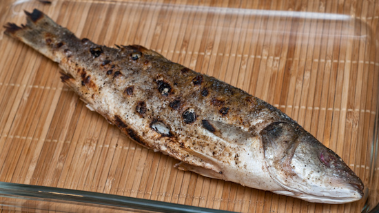 Grilled Mediteranan sea bass or branzino