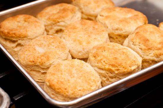 Fresh Baked Biscuits
