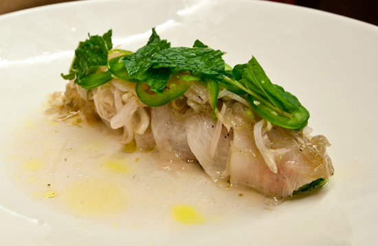 Uchiko - cobia crudo