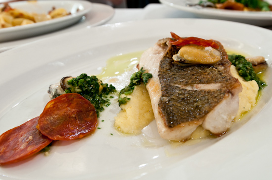 Soleil - Striped Bass with Polenta & Smoked Mussels + Spanish Chorizo & Salsa Verde